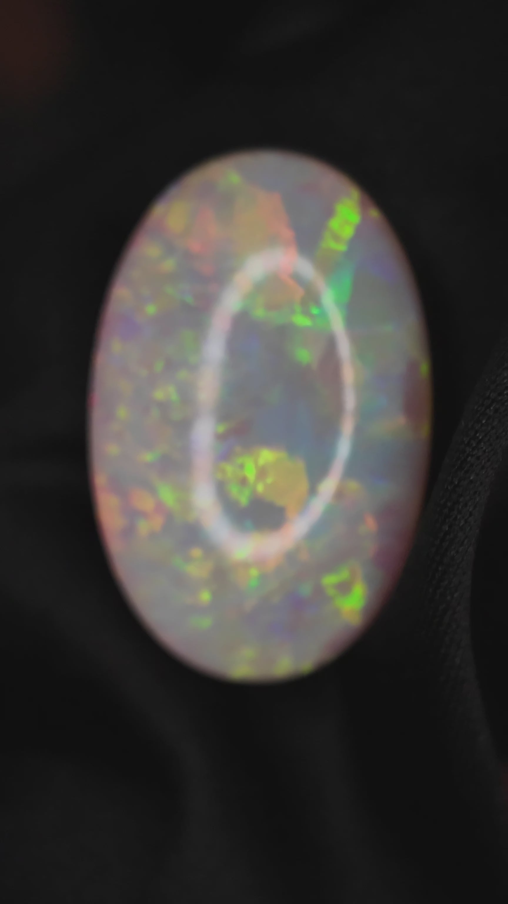 33ct Australian opal 31,49* 20,43* 8,16 mm Bellerophon