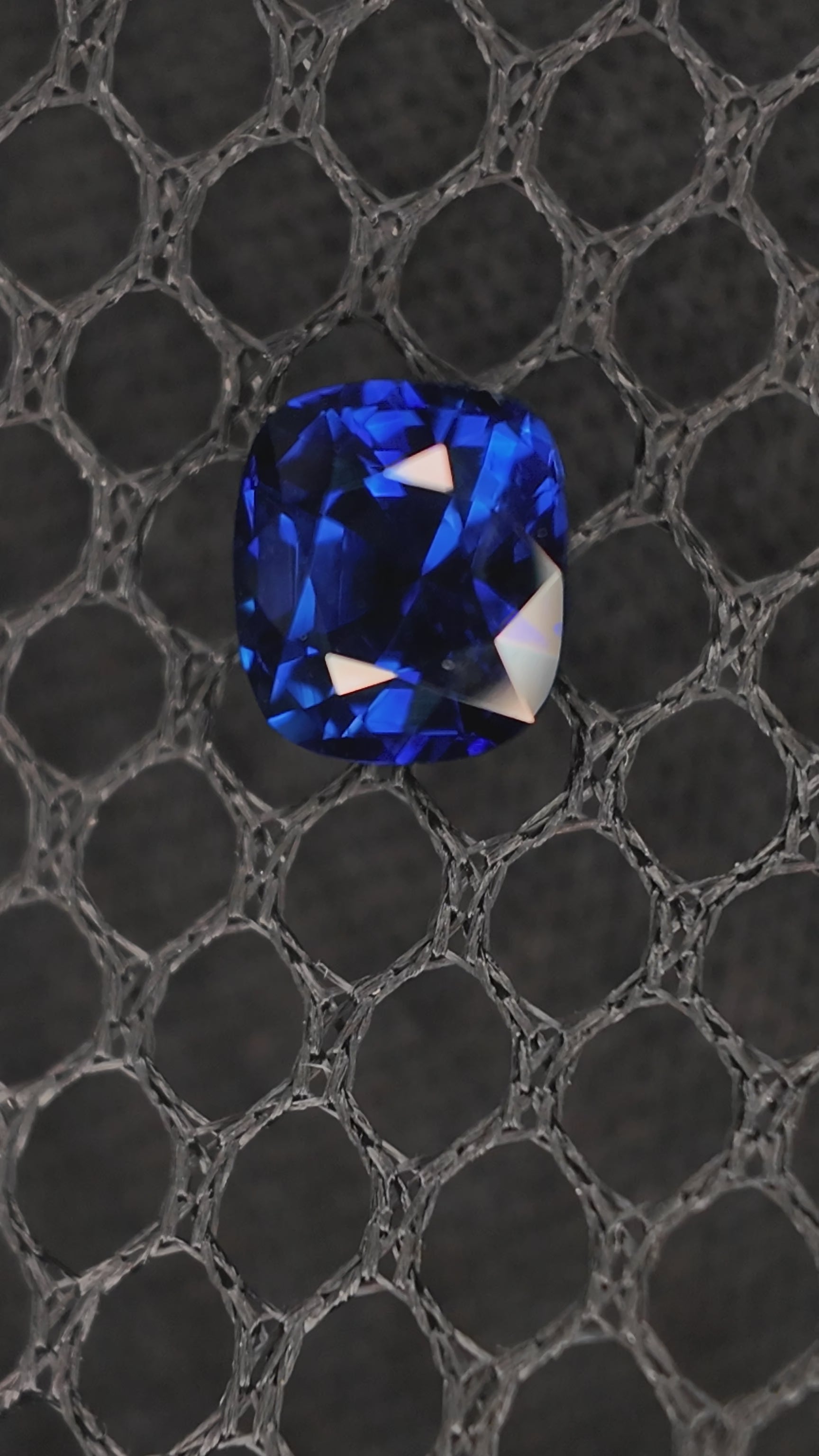 1.68ct Sapphire ROYAL BLUE H 6.72* 5.99* 4.86 mm Bellerophon